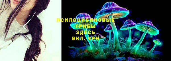 герыч Бронницы