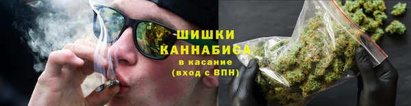 сатива Бугульма