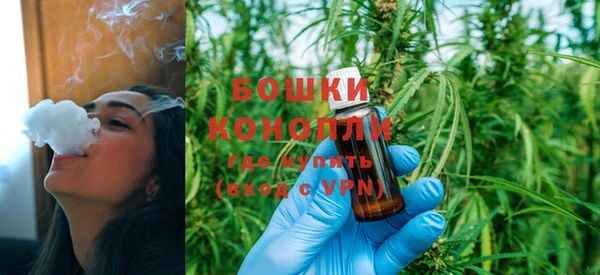 сатива Бугульма