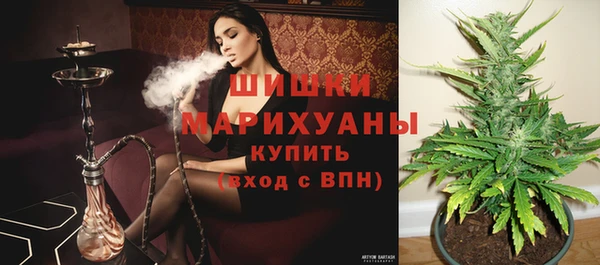 герыч Бронницы